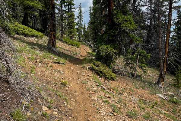Sheep Mountain Interconnect Trail #740 