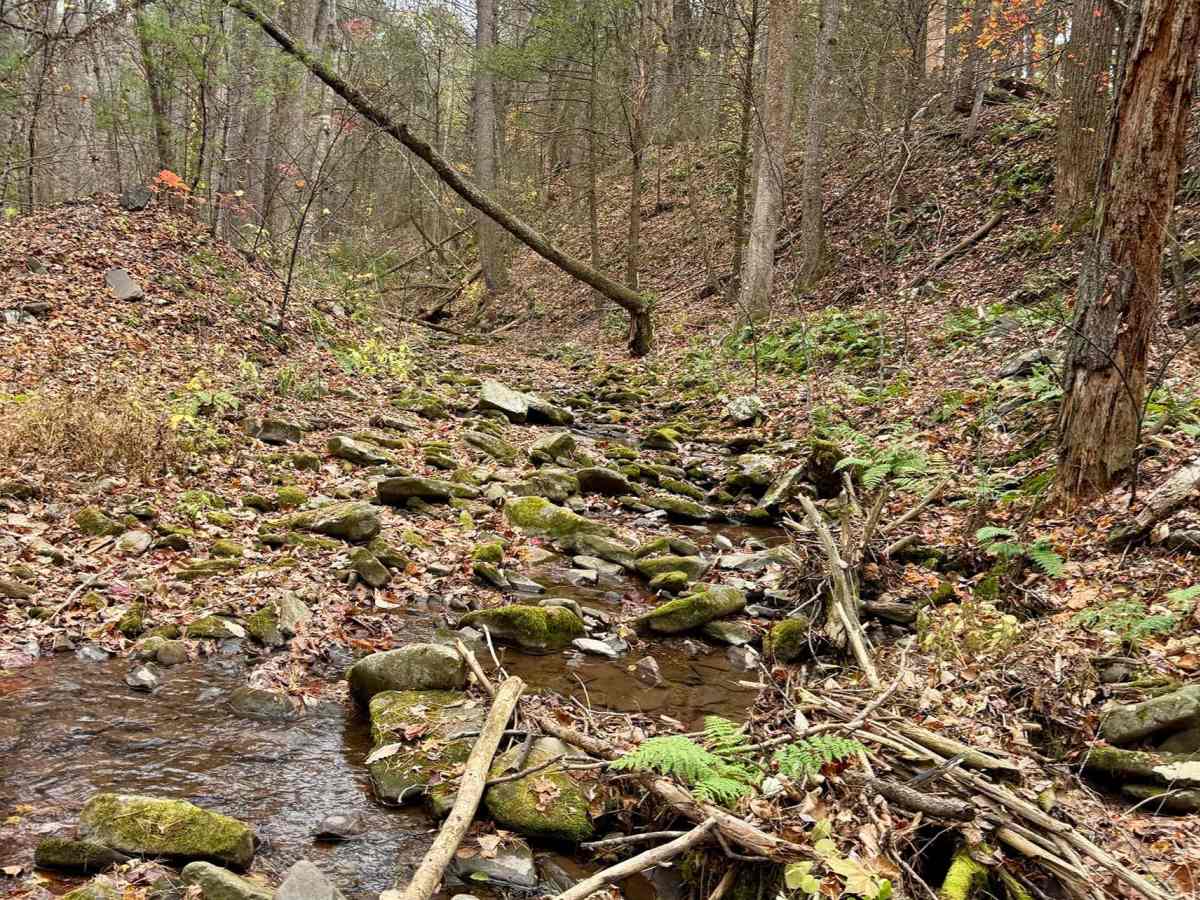 Mitchell Knob Trail photo 5