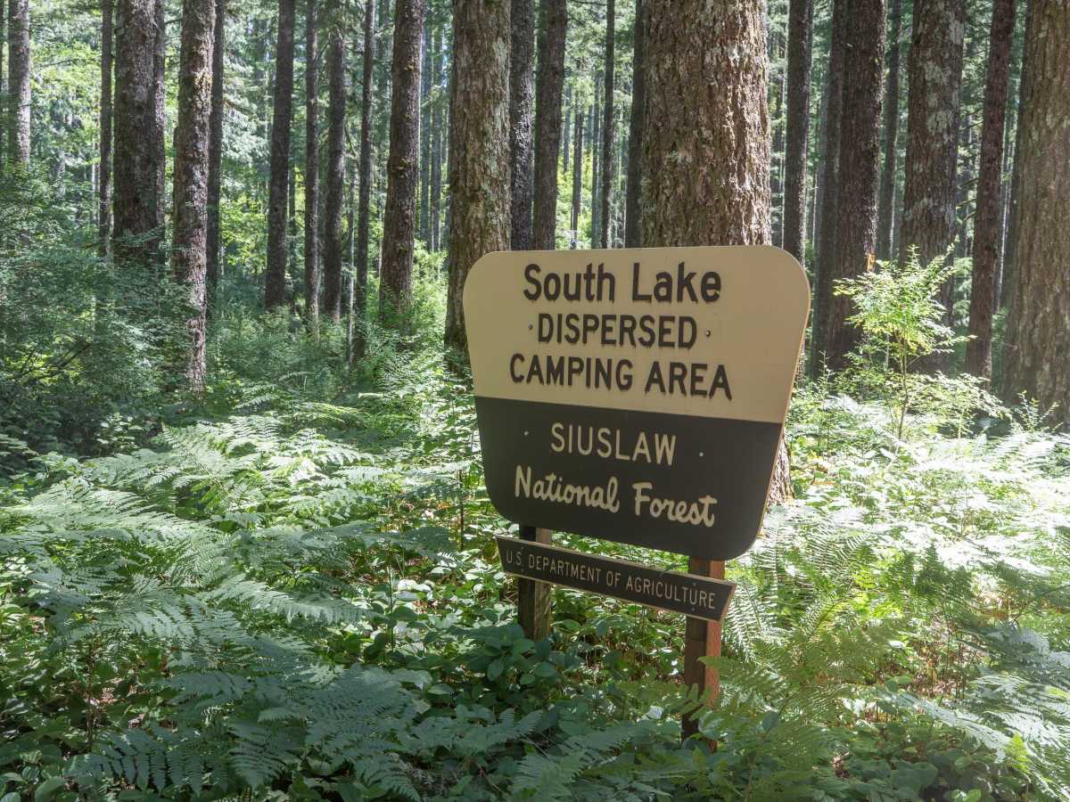 South Lake photo 5
