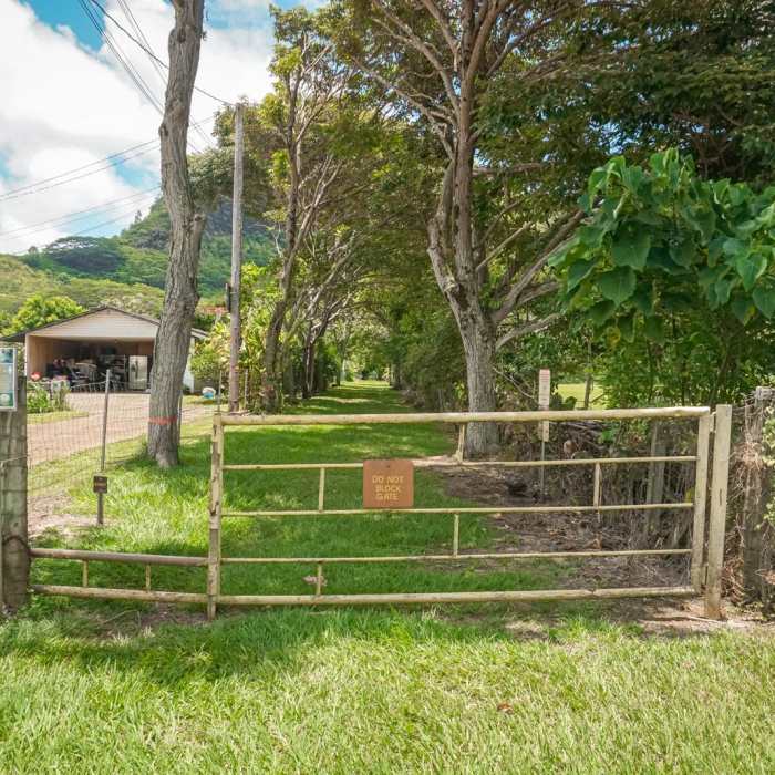 Near Kuamo'o Nounou Trail Near Kuamo'o Nounou Trail