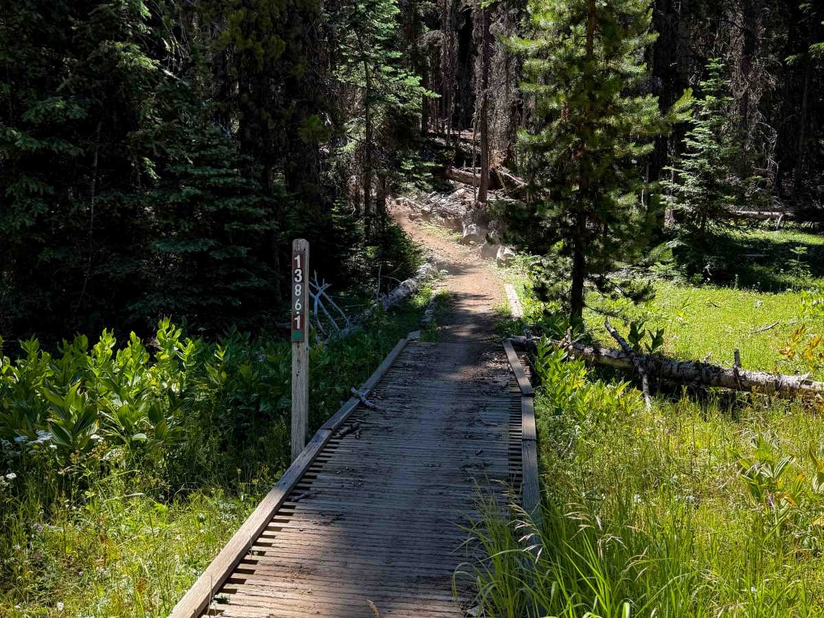 South Fork Manastash - FS 1386.1  trail photo