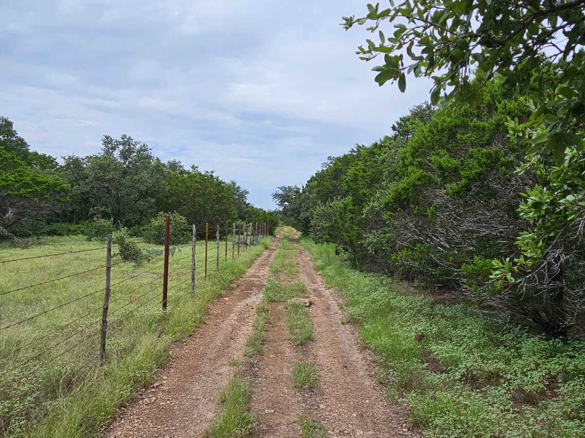Bar T Trail photo 3