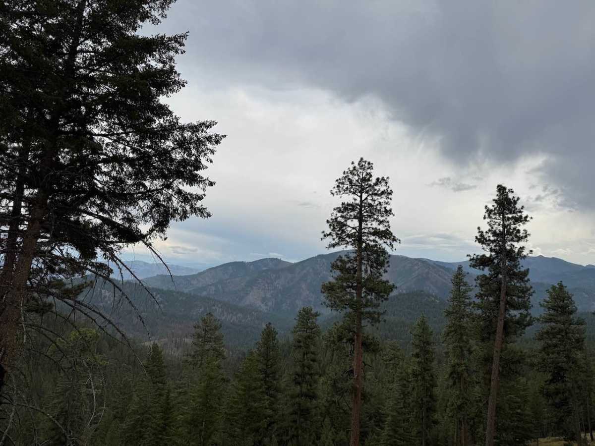 Upper Pierce Creek photo 4