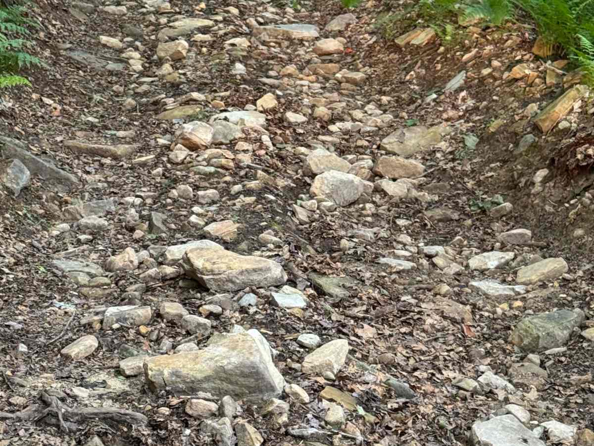 Jack Martin Trail photo 6