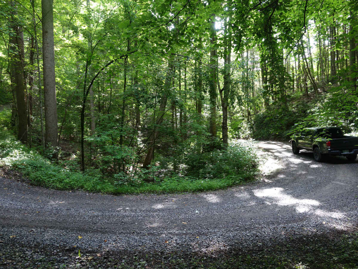 Old Buzzard Roost Road photo 2