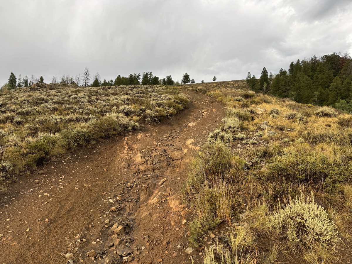 Willow Creek Mine Road photo 3