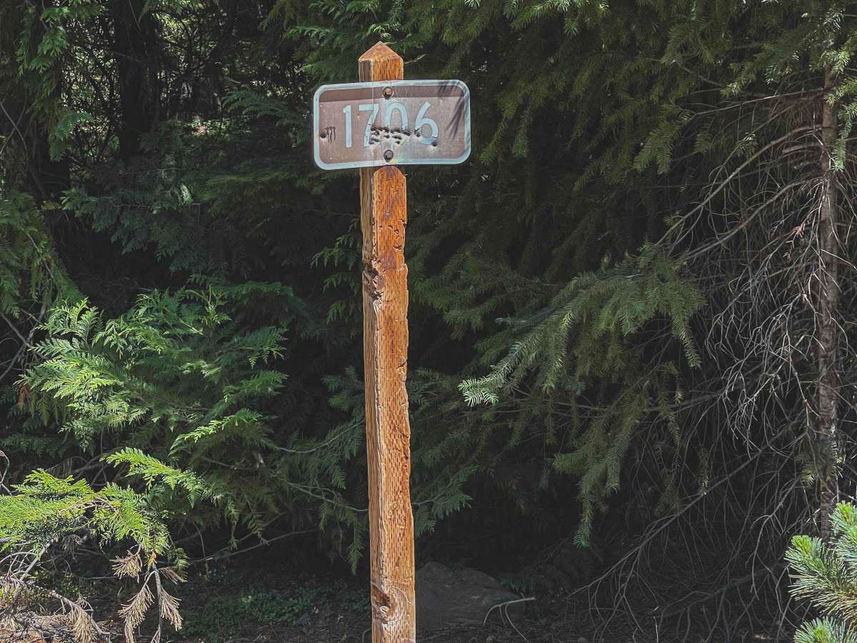 Swamp Creek Trail photo 4