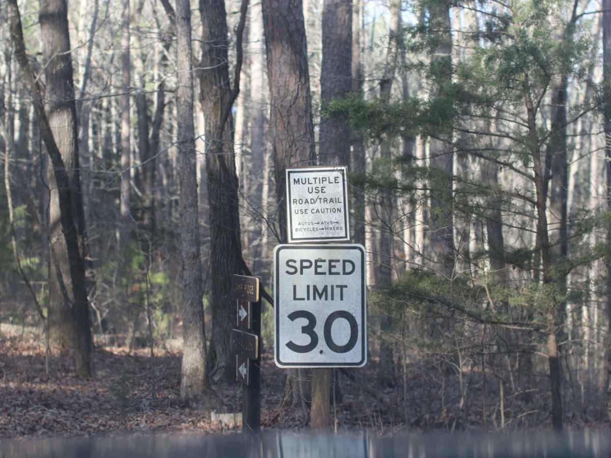 Lookout Road photo 3