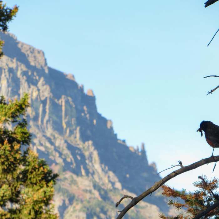 Near Pitamakan/Dawson Loop