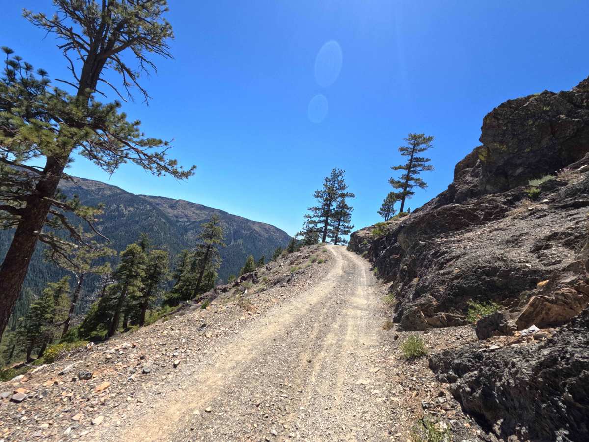 Monarch Road - FS 93-002 trail photo