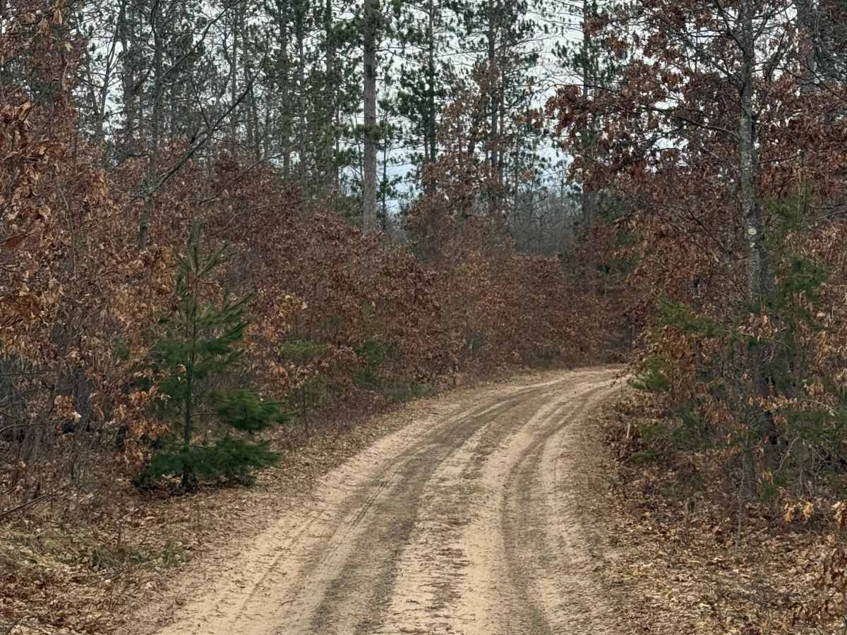 FS 5468 photo 6