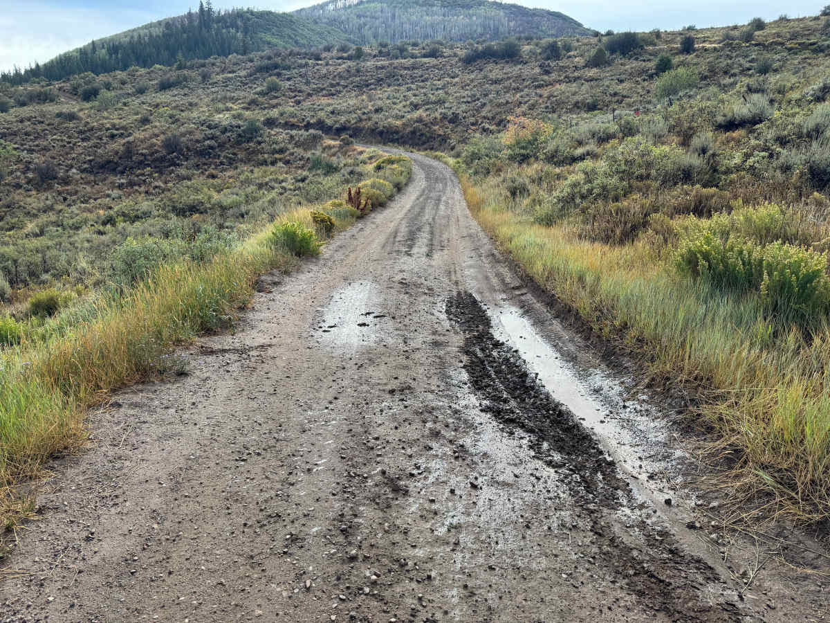 Meredith Trail photo 5