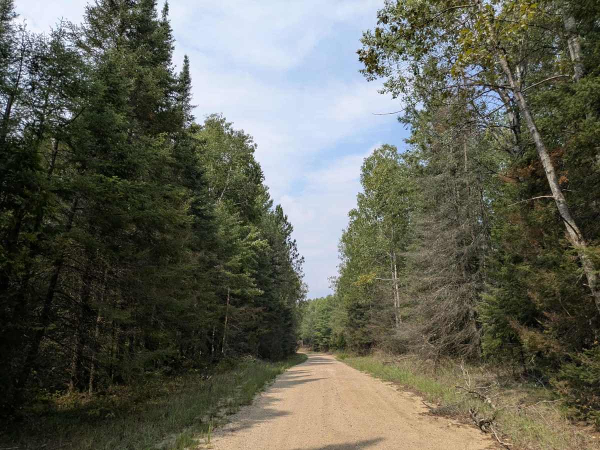Sheep Ranch Road photo 5