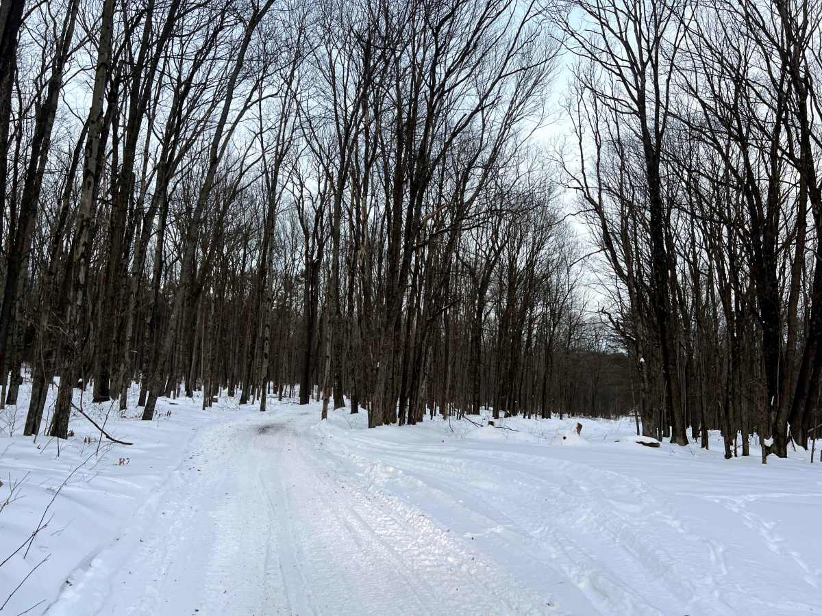 Shields Dam Road photo 3