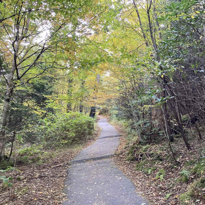 Near Devil's Courthouse Near Devil's Courthouse