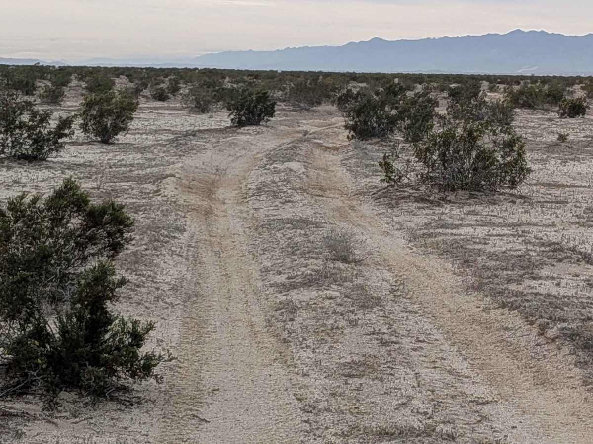 BLM 345 photo 5