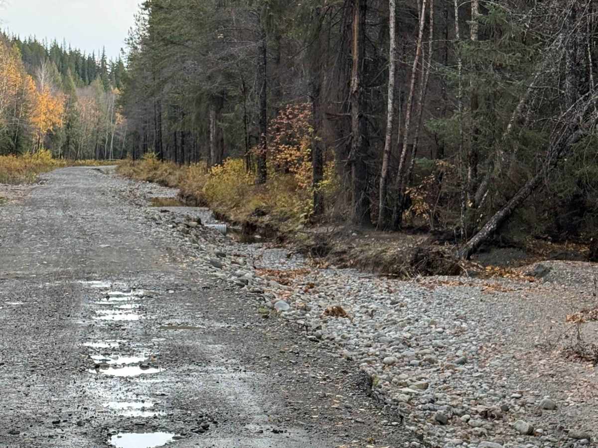 West Kalum Forest Service Road photo 3