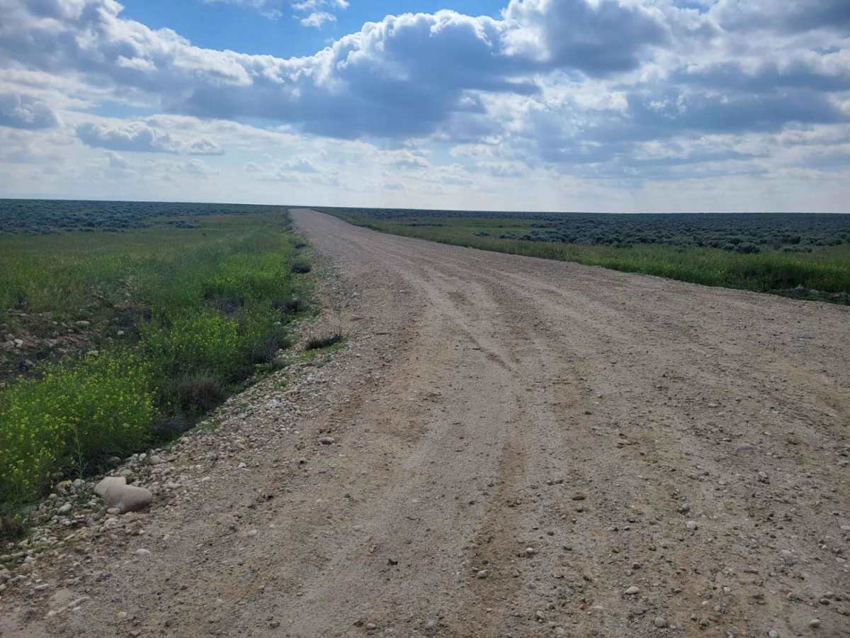 Standifer Road trail photo