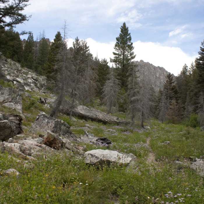 Near Middle Fork of the Boise River, Mattingly Creek and Divide