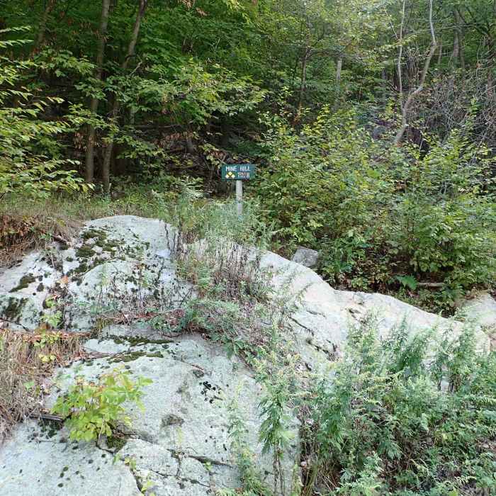 Near Sackett Ridge - Golden Ridge Loop