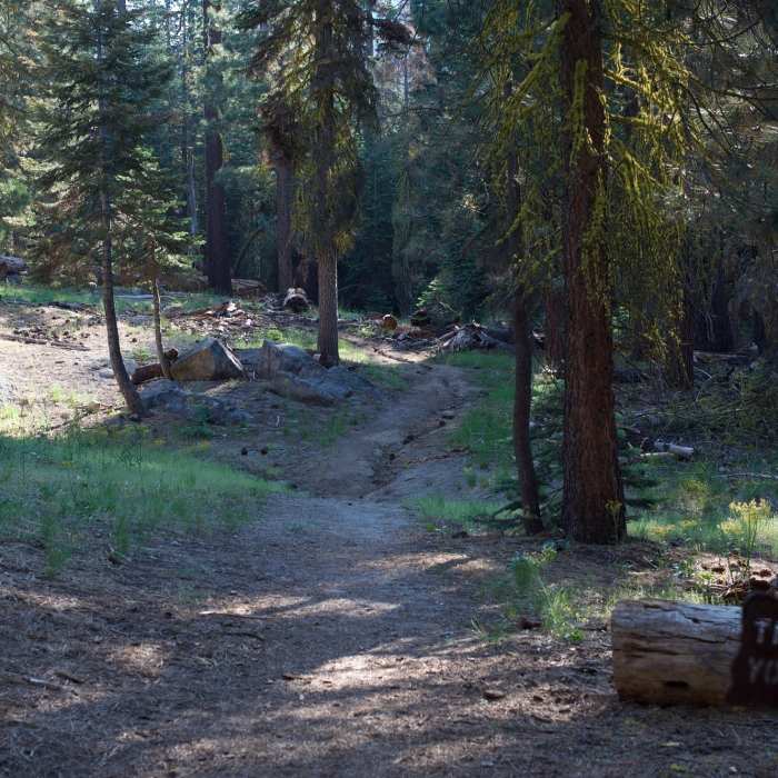 Near Lehamite Creek Trail