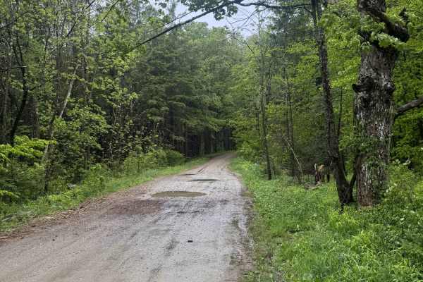 Country Road