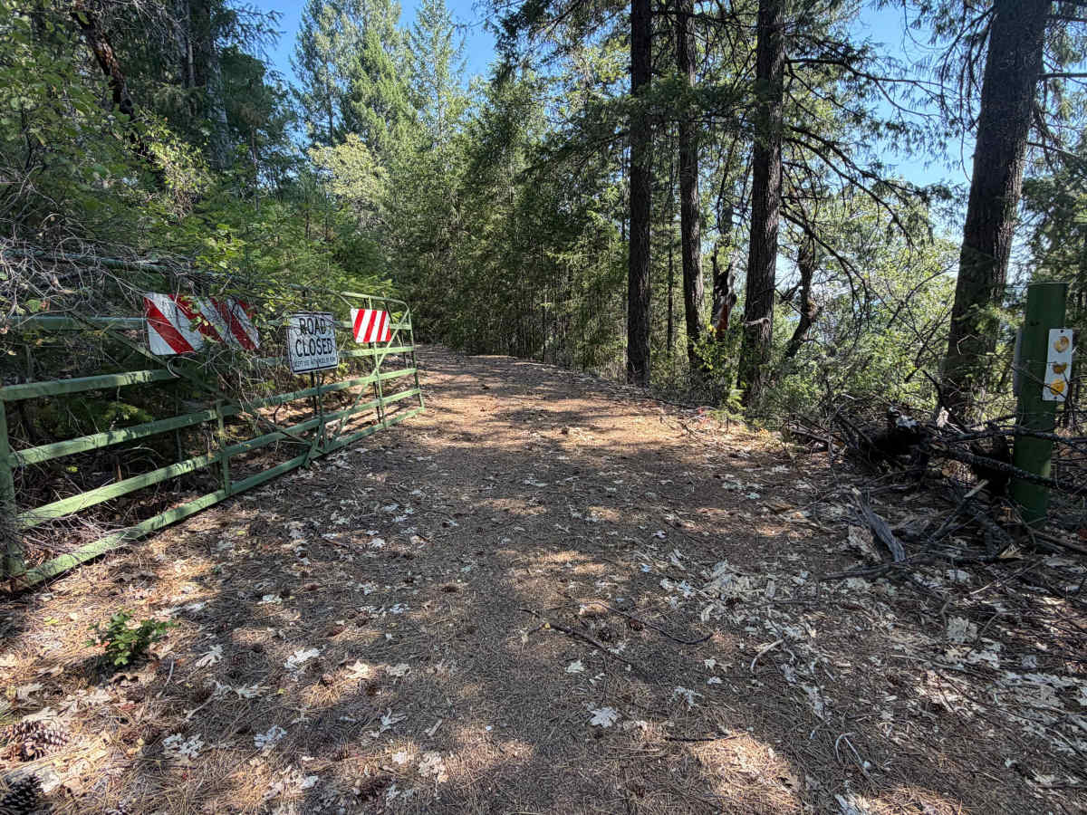 Moores Flat Diggings - FS 833-008 photo 5