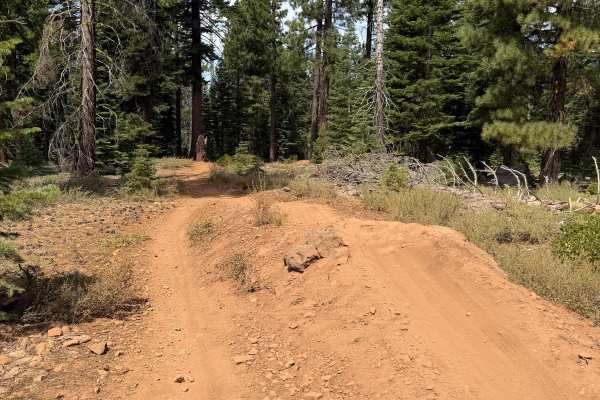Happy Face (Downhill)