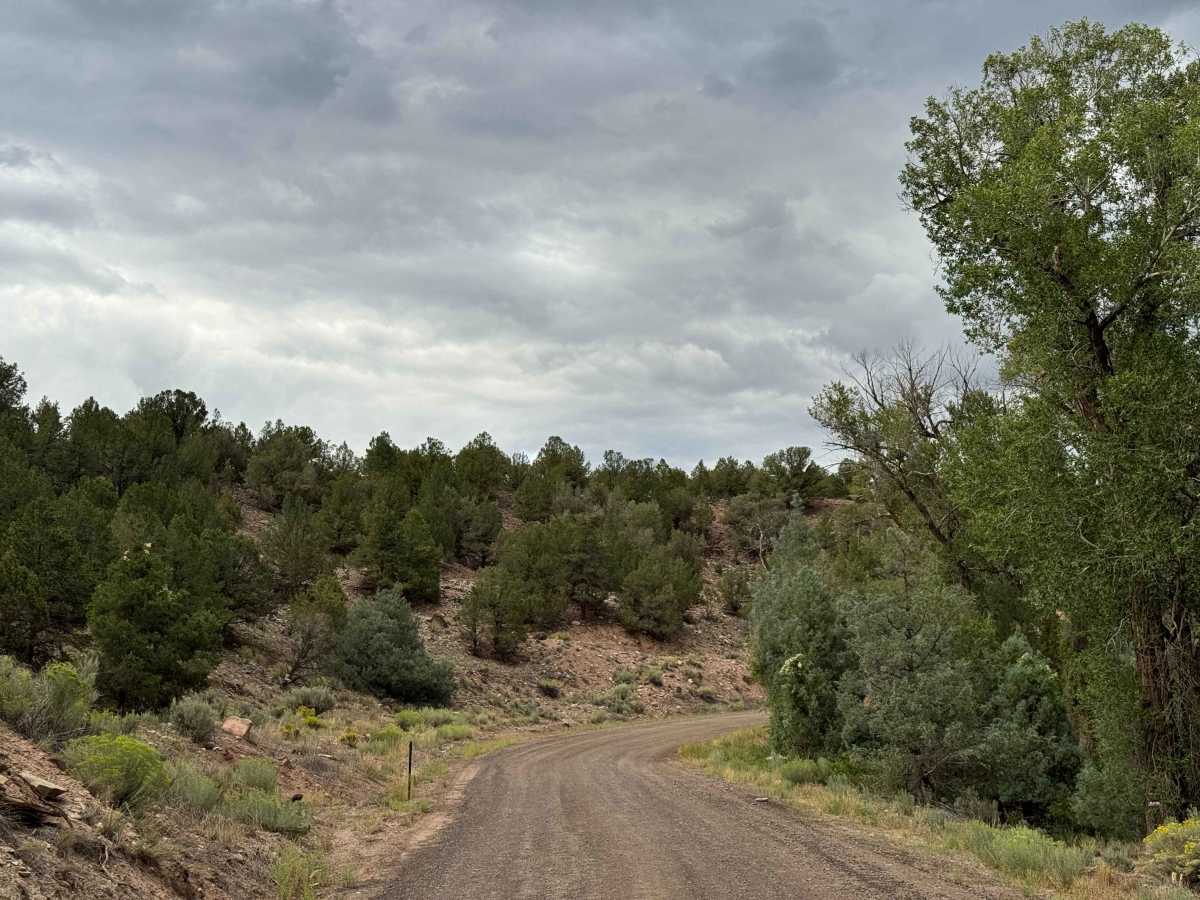 Copper Spur Road photo 2