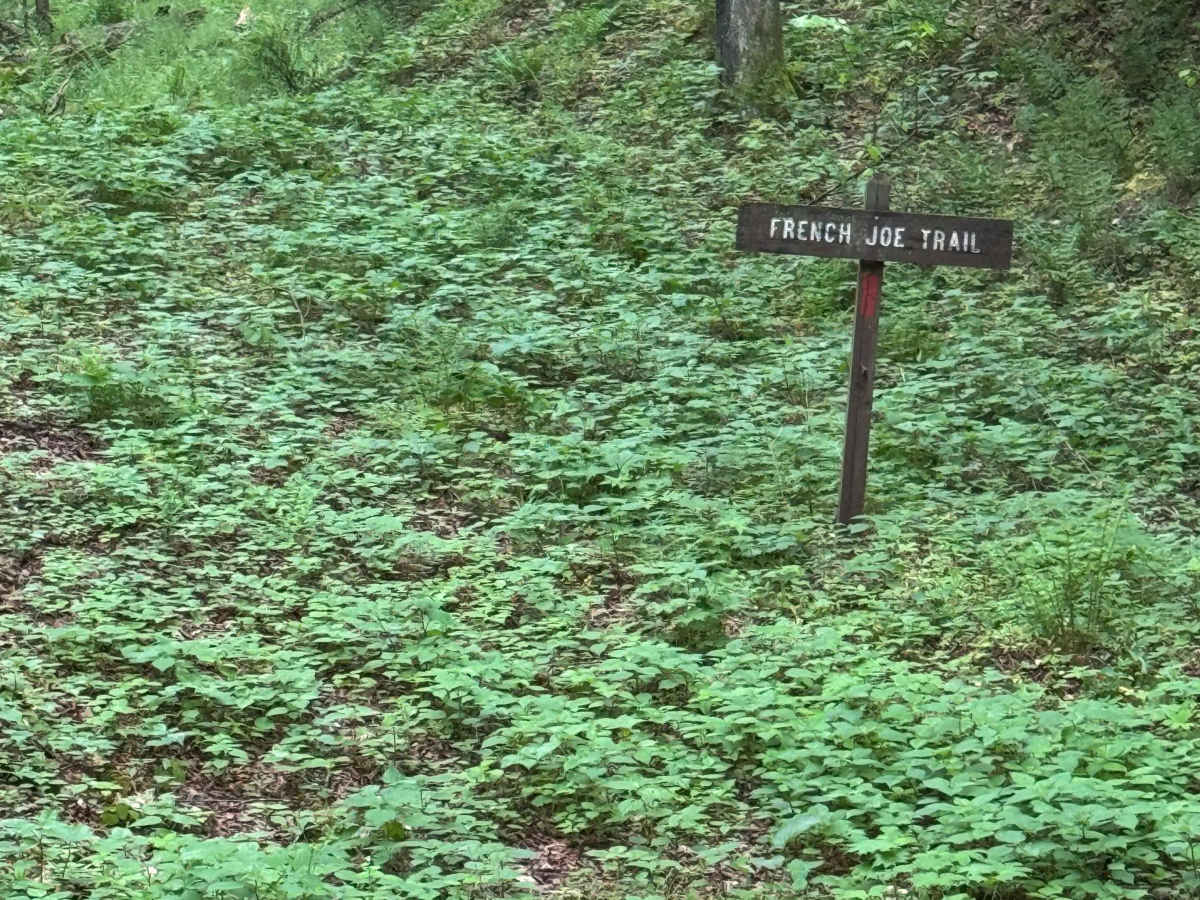 Big Springs Road photo 6