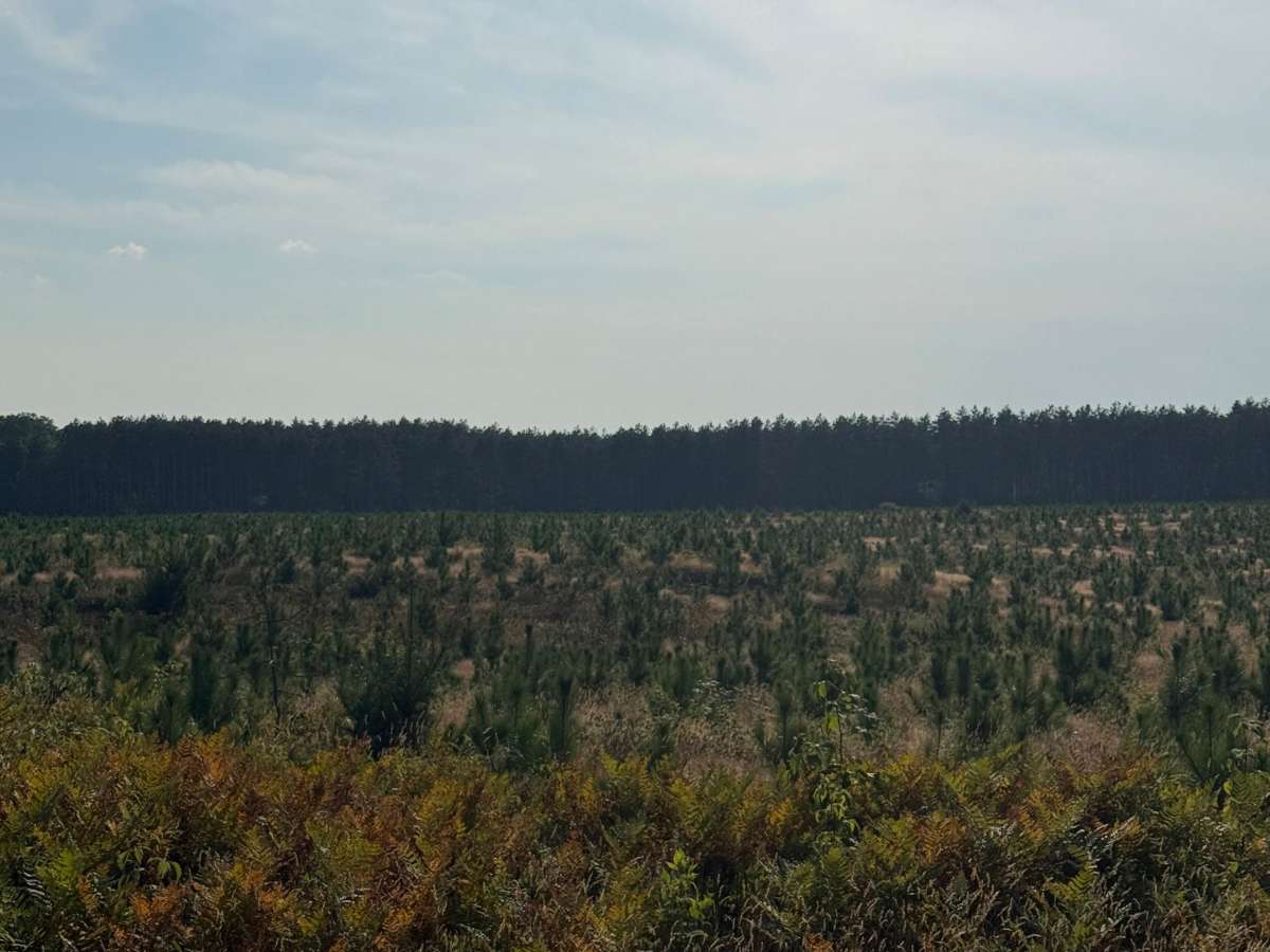 Pine Ridge Trail photo 6