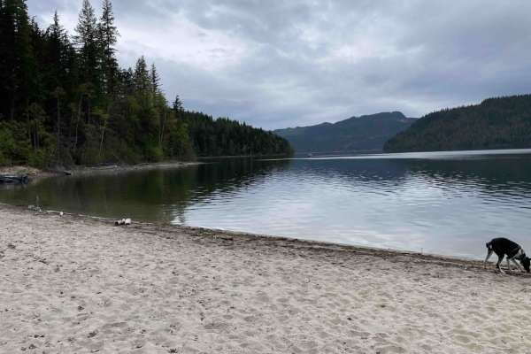 Mabel Lake FSR to Cottonwood Rec Site