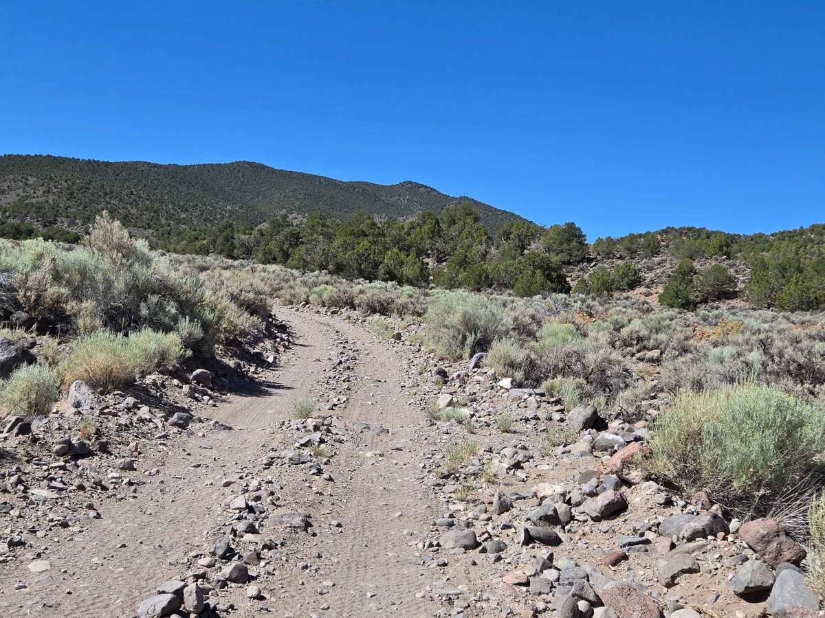Kingston Canyon (Paiute 1 Trail) photo 5