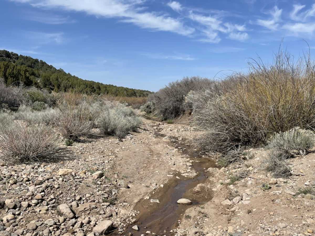 Calf Spring trail photo