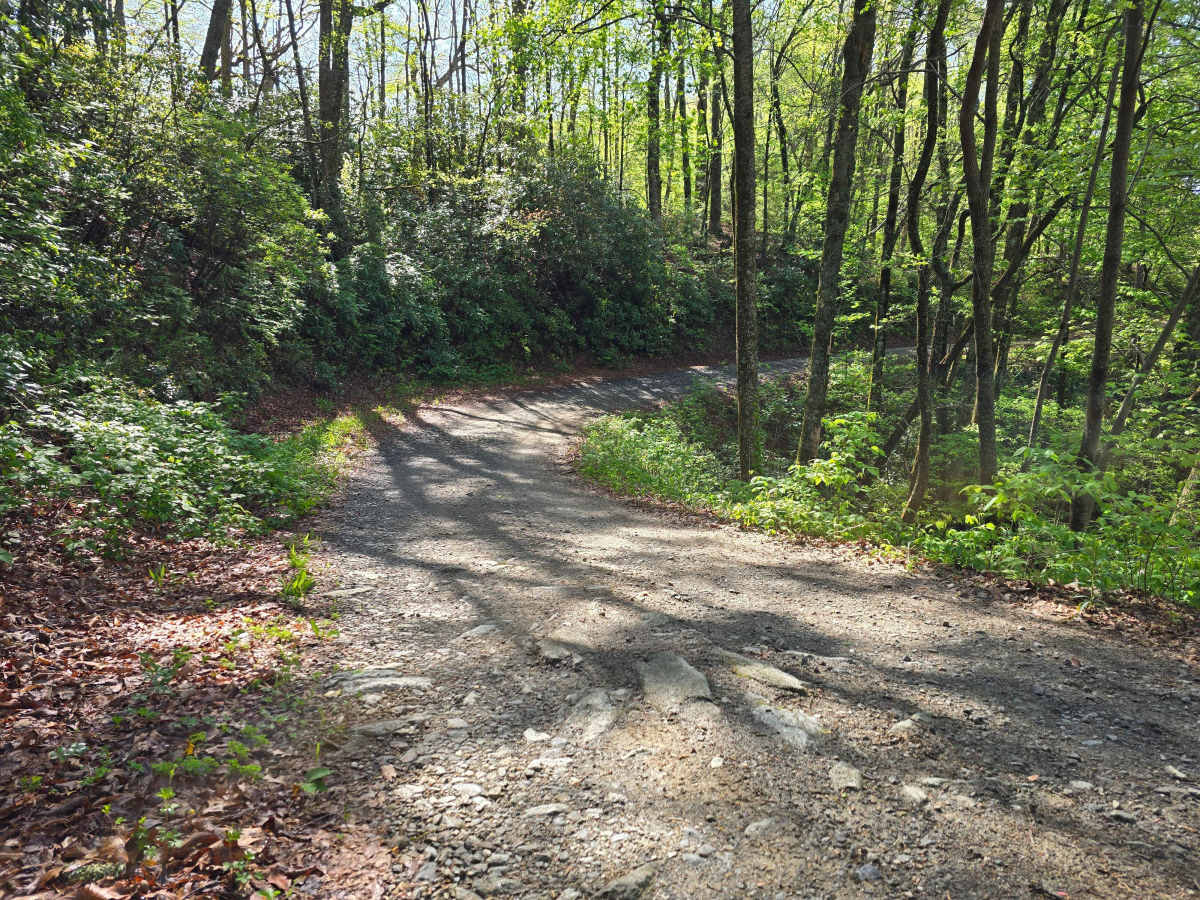 Webb Mill Road photo 3