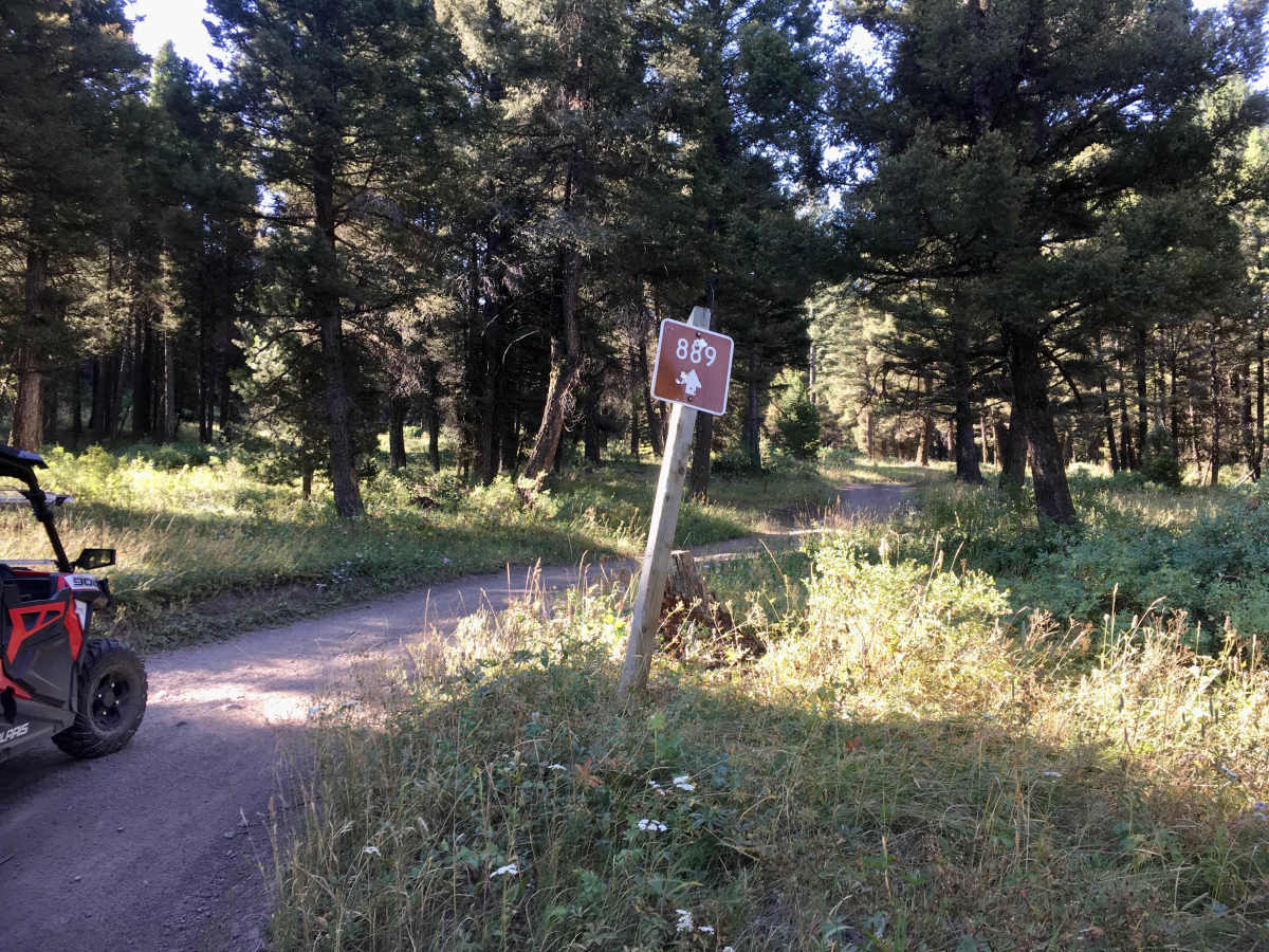 Spring Creek Road - FS 889 trail photo