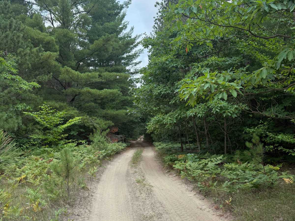 West Buchanan-Pierce Trail trail photo