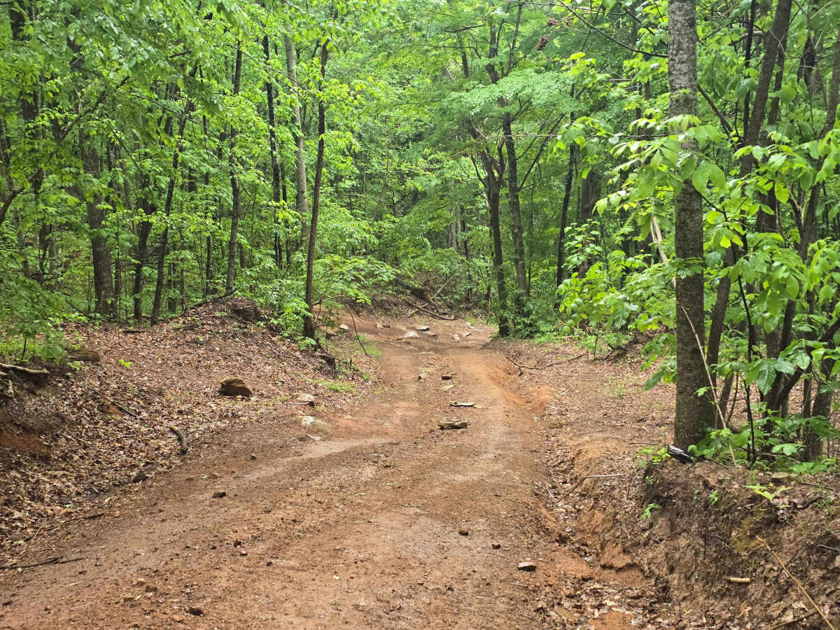 Trail 1B photo 3