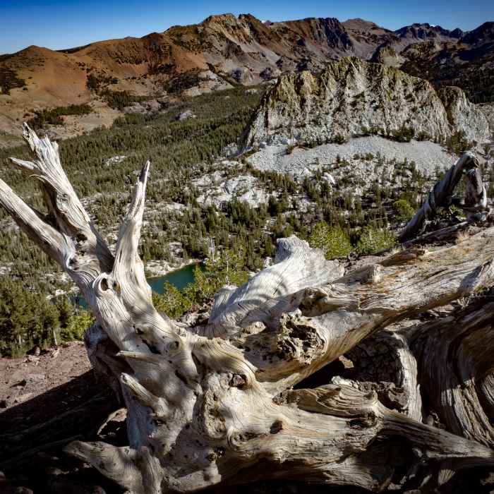 Near Mammoth Crest Trail