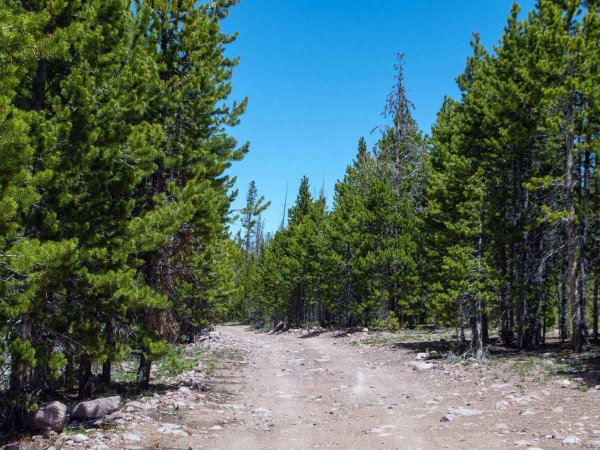 Ridge Road - FS 80076 photo 4