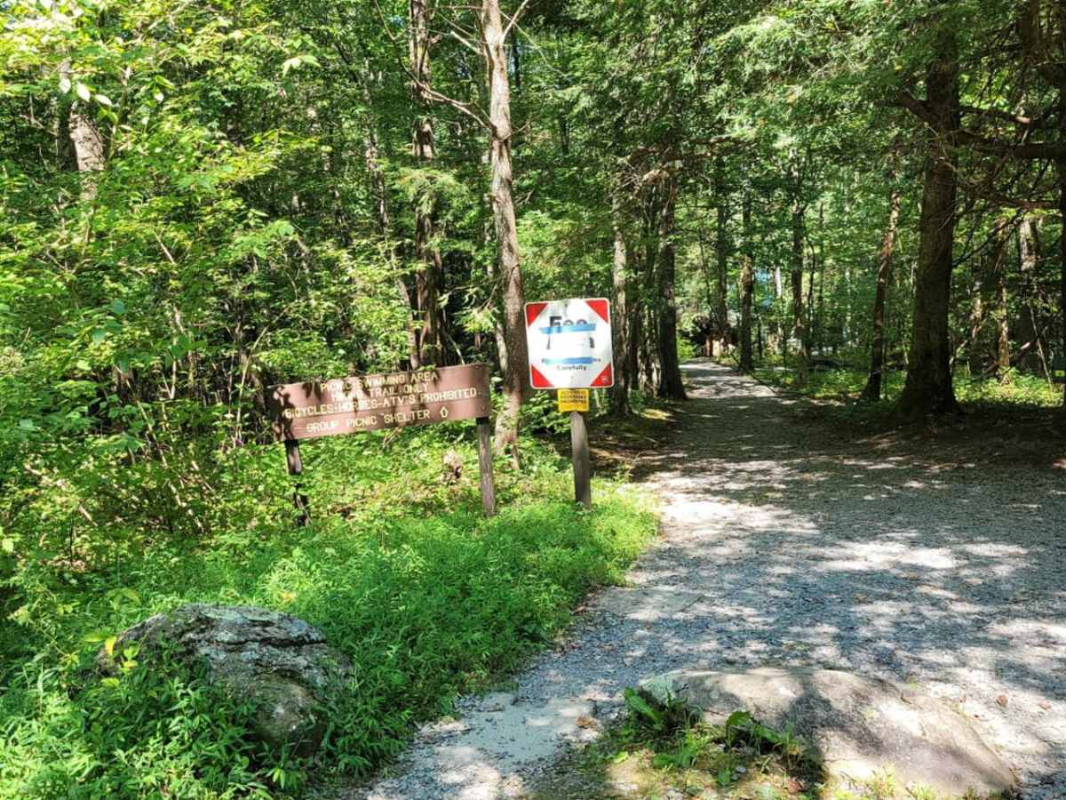Cohutta Wilderness photo 2