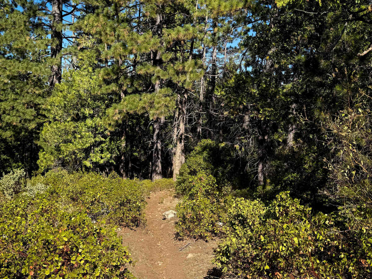 17EV118  trail photo