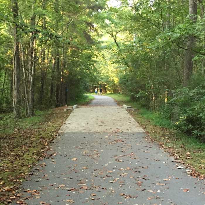 Near Four Mile Creek Greenway