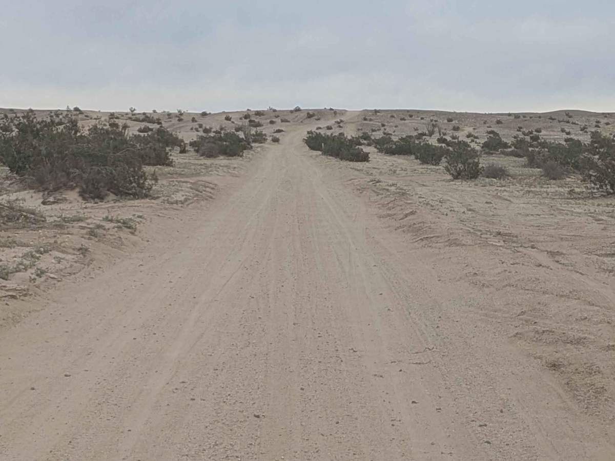 Ocotillo Trail Road photo 3