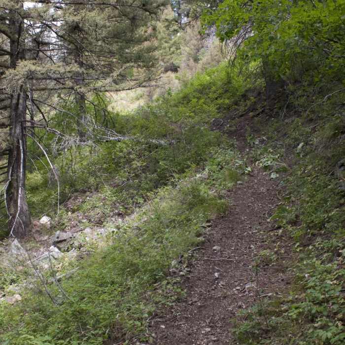 Near Middle Fork of the Boise River, Mattingly Creek and Divide