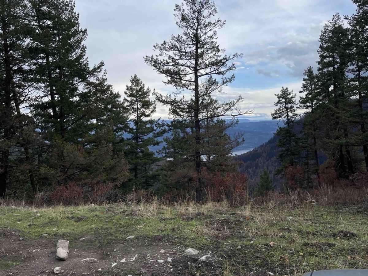Beau Park Road trail photo