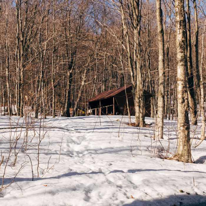 Near New Boston Trail