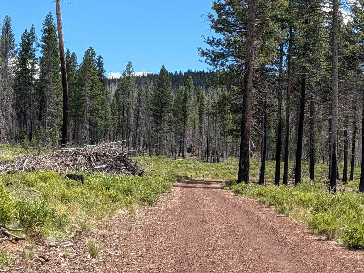 Pumice Stone - FS 43N01 trail photo