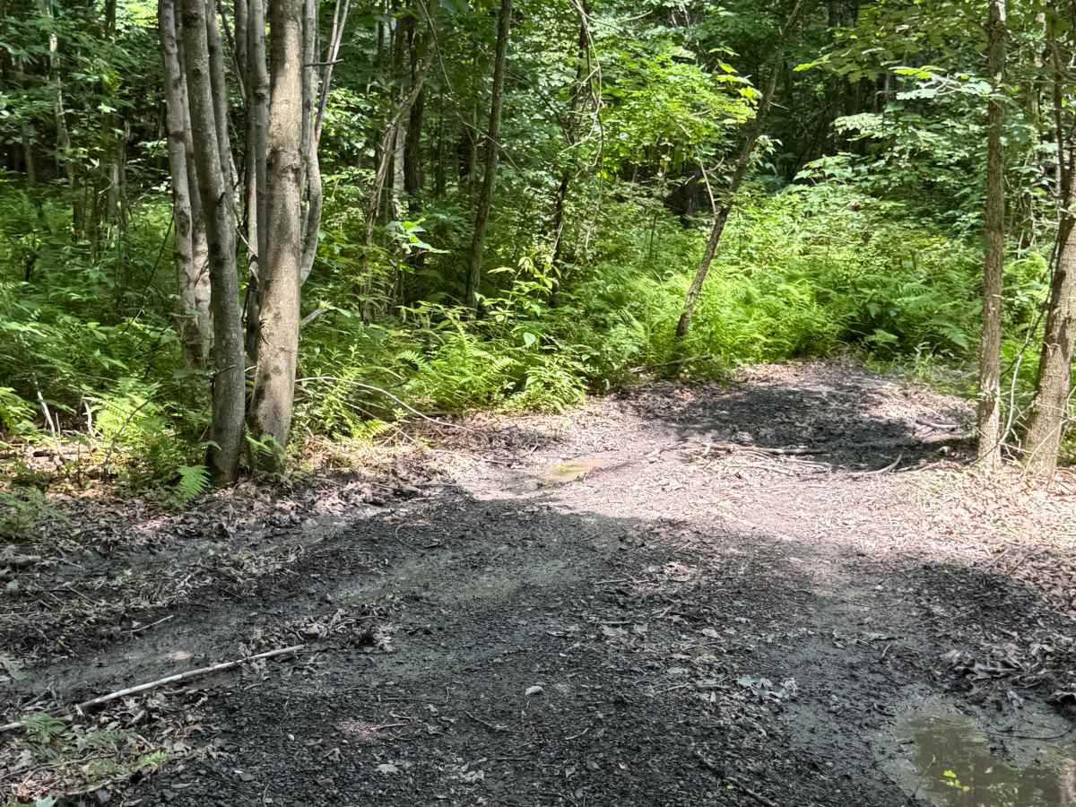 Trail 37 photo 3