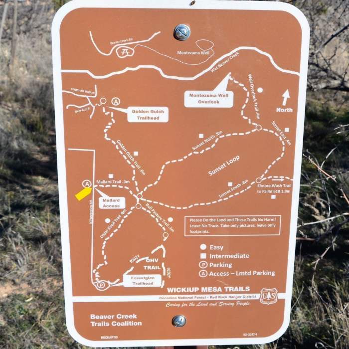 Near Mallard Trail